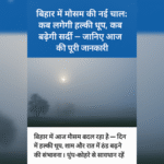 बिहार में मौसम की नई चाल! कब लग सकती है हल्की धूप, कब बढ़ेगी ठंड, जानिए पूरा हाल